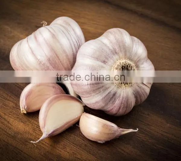 Peeled Garlic CCD Belt Color Sorter Machine photo-3