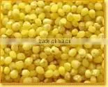 Millet