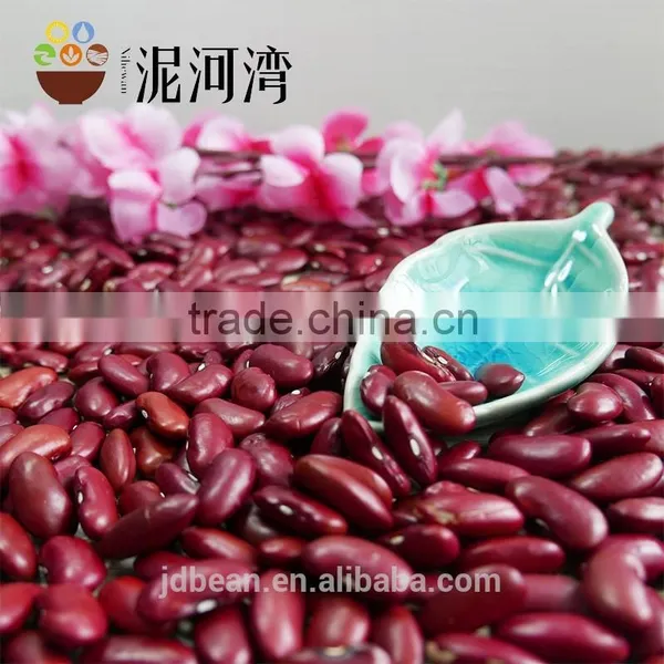 Polished Hand Pick Selected Dark Red Kidney Bean for Cannery photo-2