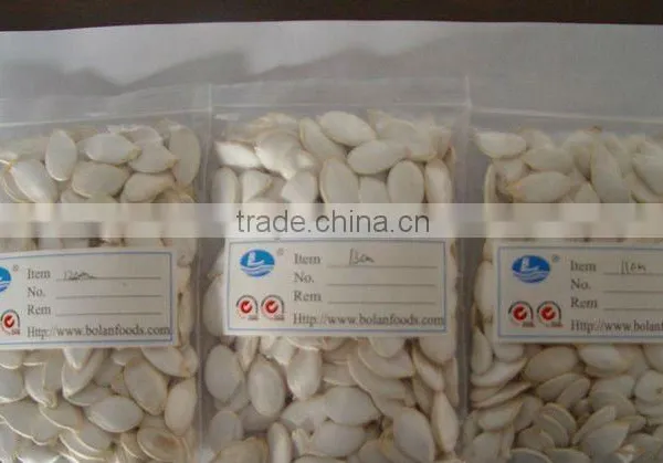 Edible Snow White Skin Pumpkin Seeds