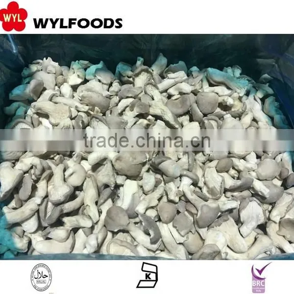 Frozen Oyster Mushrooms Wholesales Price New Season photo-3