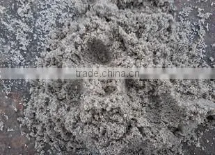 River Sand photo-3