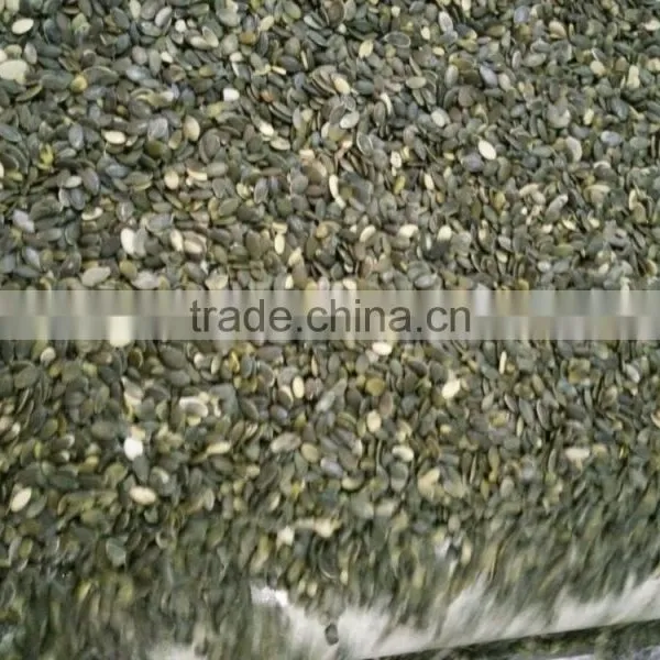 Organic Pumpkin Seeds Kernels Grown Without Shell A photo-6