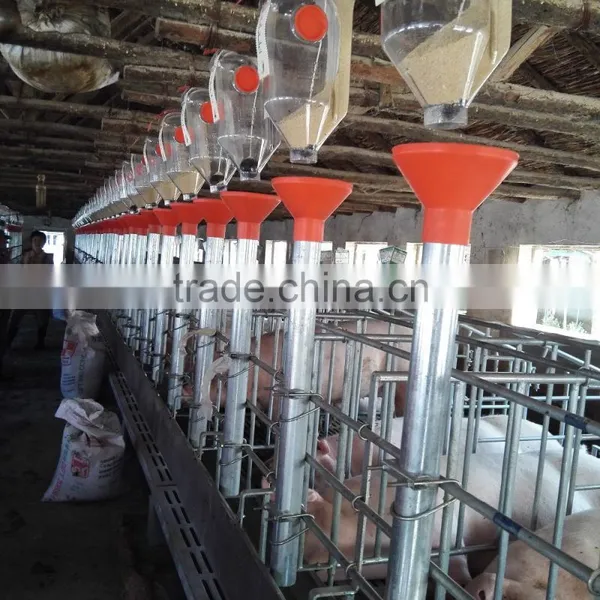 Poultry Farm Machinery Gestation Crates Stalls For Pigs photo-5