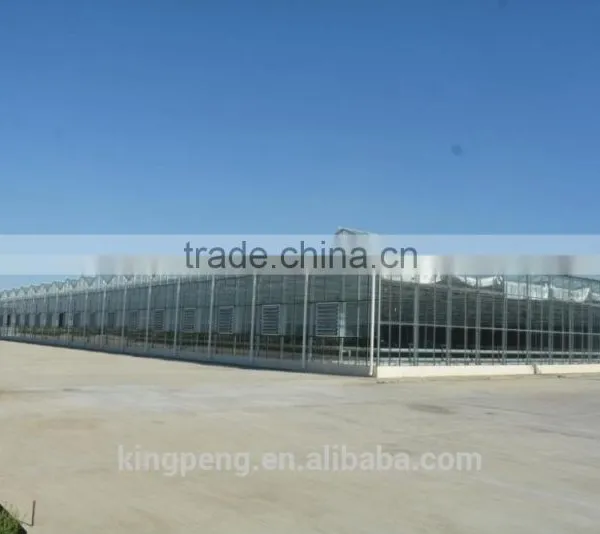 Commercial Multi Span Temper Glass Greenhosue photo-2