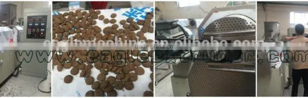 DP118 Wet Type Fish Feed Pellet Machine/animal Feed Production Machinery photo-3