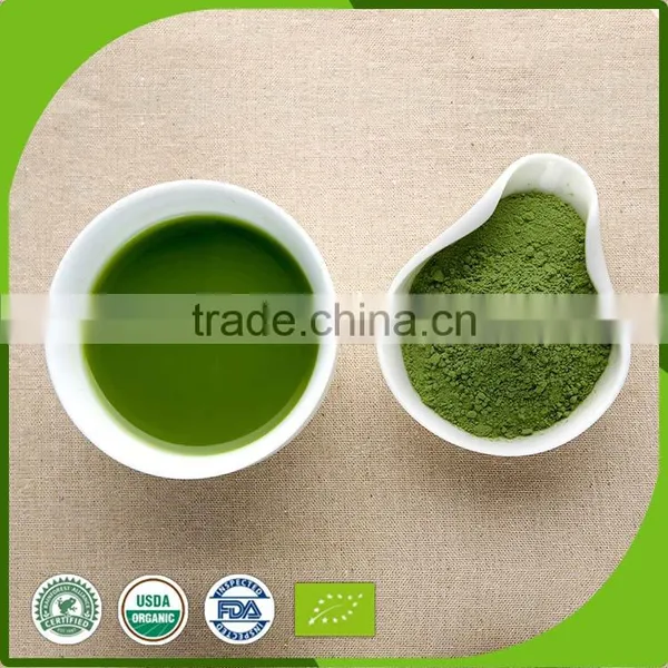 EU Standard of Mulberry Leaf Tea Powder