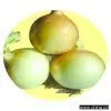 Sell Fresh Onion
