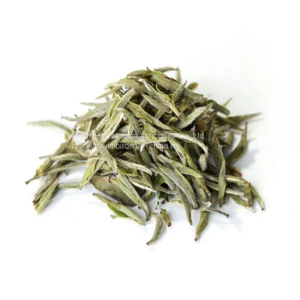 Private Label Detox Tea Herbal Health White Teas for Slim Fit Tea photo-2