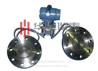Double-Flange Differential Pressure Transmitter With Capillary photo-2