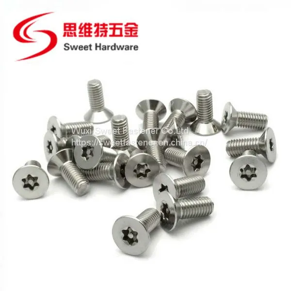 SS304 Stainless Steel Flat Head Pin-in Torx Anti-theft Countersunk Machine Screw photo-2