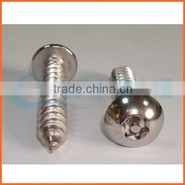 China Supplier Button Torx Head Anti-theft Screw photo-3