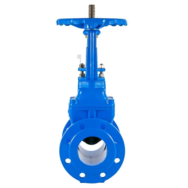 Resilient Seated Gate Valve for Municipal Water Treatment Plants With MTR photo-4