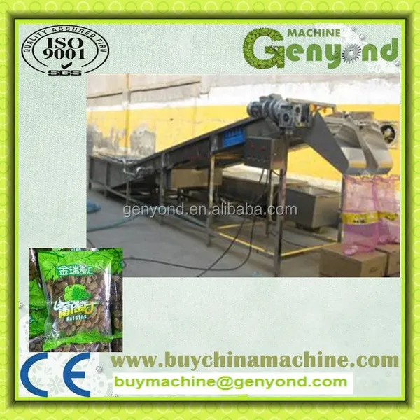 Raisin Cleaning Machine for the Raisin Processing photo-5