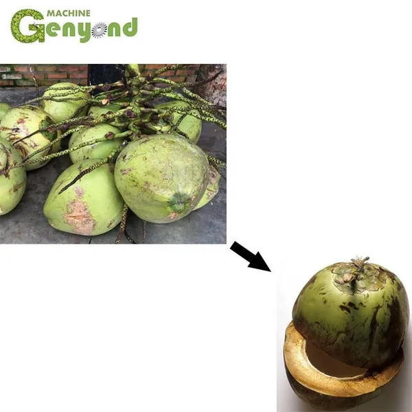 Shanghai Full Automatic Electric Coconut Meay Grinder Grinding Machine Coconut Meat Shredder Grater photo-6