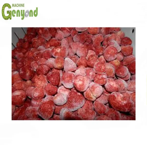 Vegetable & Fruit&Seafood IQF Tunnel Quick Freezer