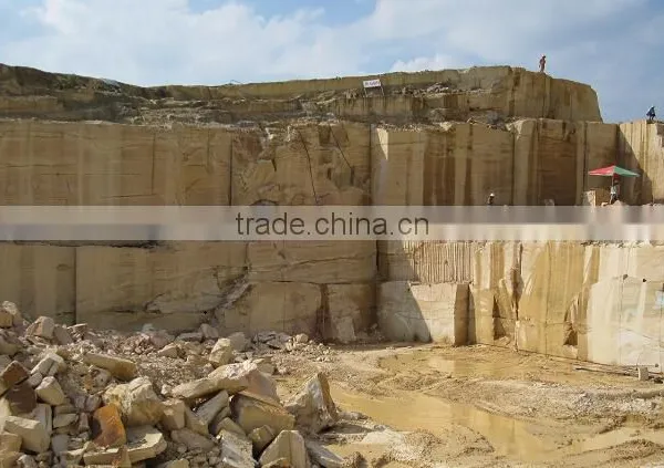 High Quality 100% Natural Wooden Yellow Sandstone photo-4
