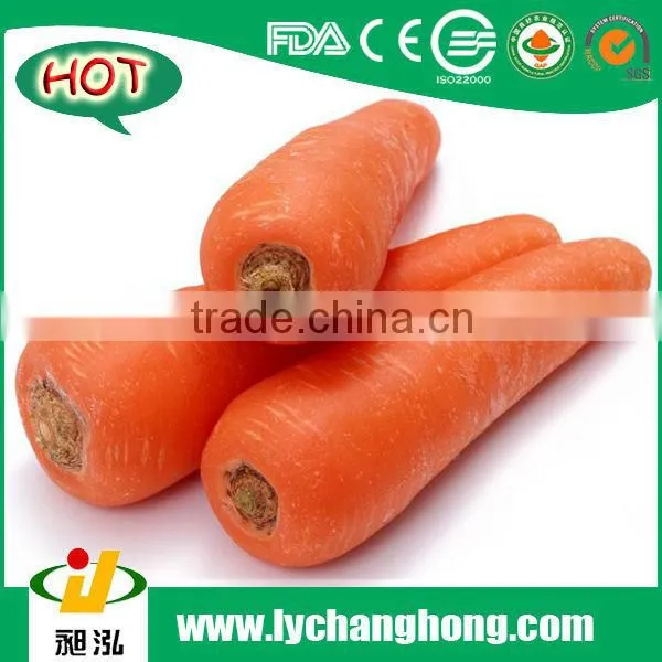 Fresh Carrot/bulk Carrot /fresh Red Carrot