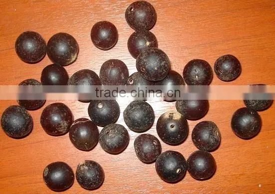 Chuchos Seeds' Beads