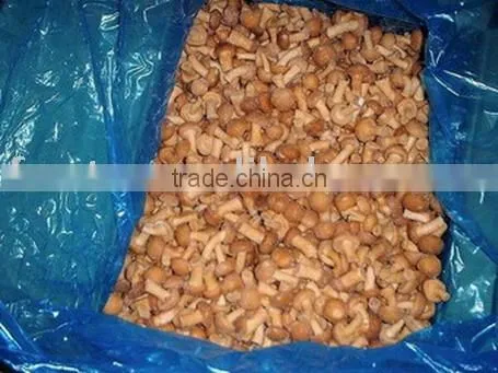 IQF Nameko Mushroom/frozen Nameko Mushrooms
