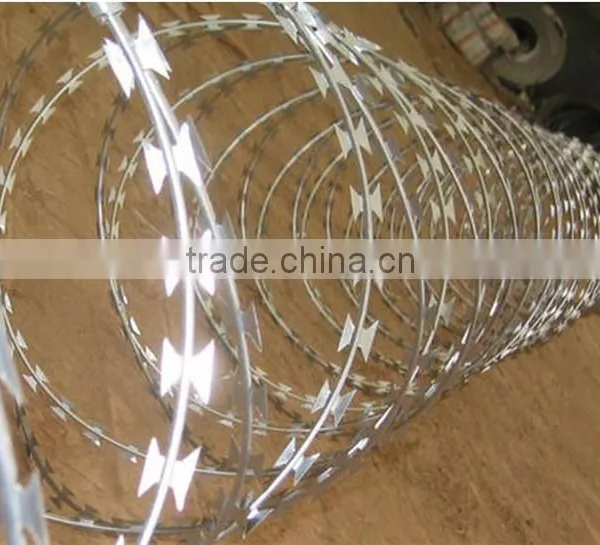 Sharp Security Fence Razor Barbed Wire in Prision/frontier Defence photo-4