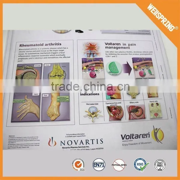 Big Sale Custom Sizeeducational Medical Chart photo-2