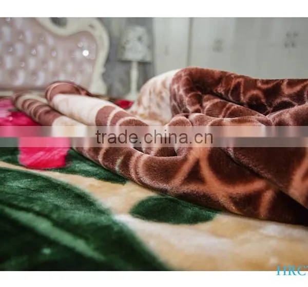 Hot Selling New Design 100 % Polyester Korean Style2Ply Mink Blanket photo-4
