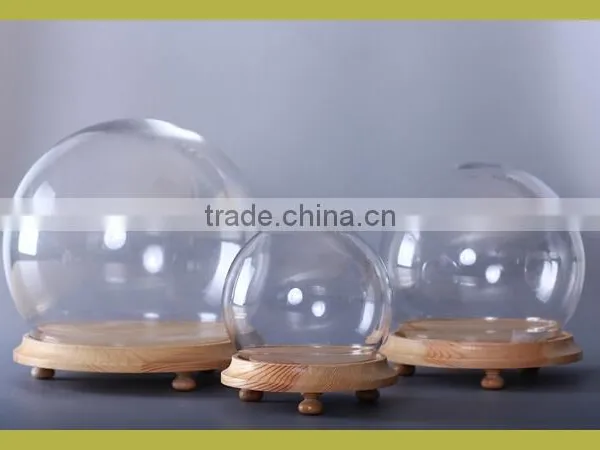 Clear Glass Display Dome photo-5