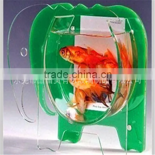 Fish Small Fish Tanks Aquarium photo-5