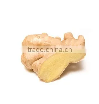 Fresh Ginger