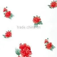 Construction Wall Panel Aluminum Composite Panel photo-2