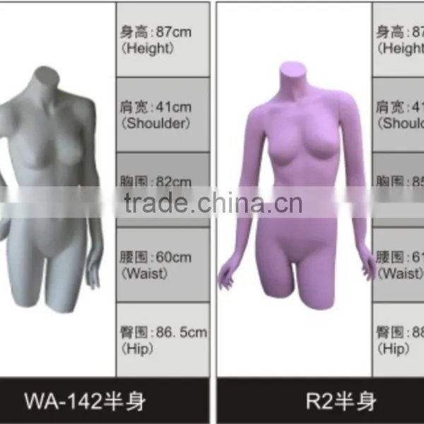 Clothes Store Display Ladies Bust Manequins For Underwear photo-2