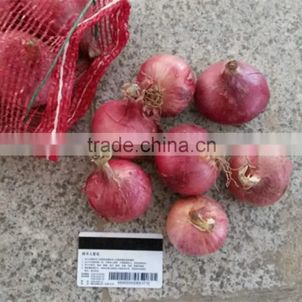 Fresh Red/yellow Onion High Quality From China photo-1