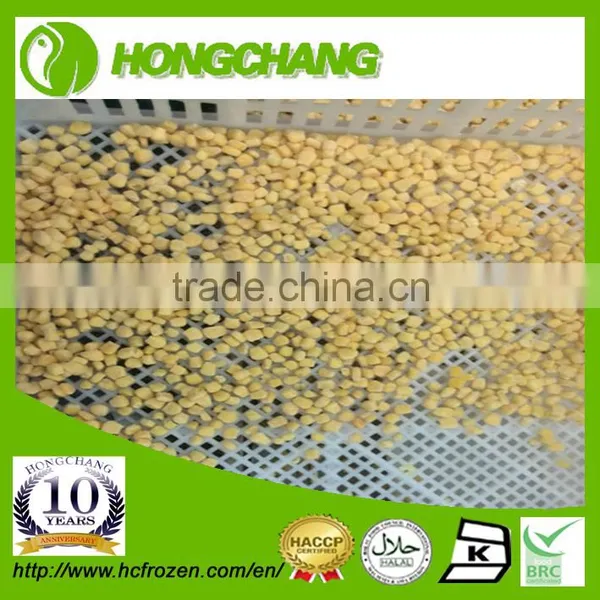 FROZEN SWEET CORN KERNEL