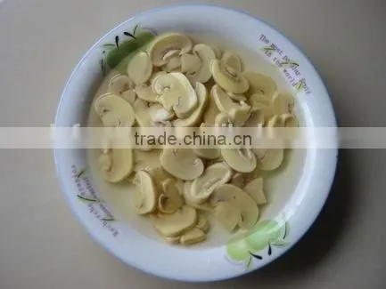 Hot Sale Canned Mushroom Slice Export photo-4