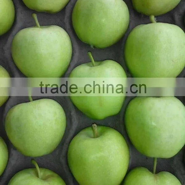 Fresh Green Apples photo-2