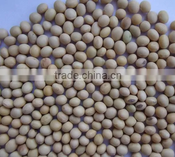 Chinese Good Quality and High Protein Soybeans photo-3