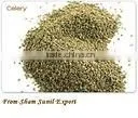 Celery Seeds photo-2