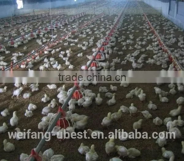 Modern Broiler Poultry Shed Design photo-2