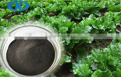 95% Water Soluble Sodium Humate Flake photo-2