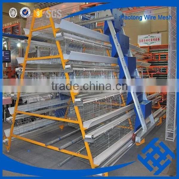 Hot !!! Used Poultry Battery Cages for Sale photo-4