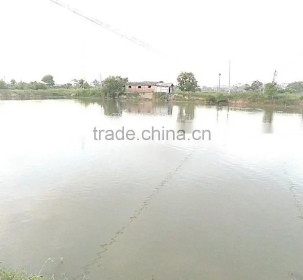 Hot Sales Solar Aeration System for Fish Farm photo-4
