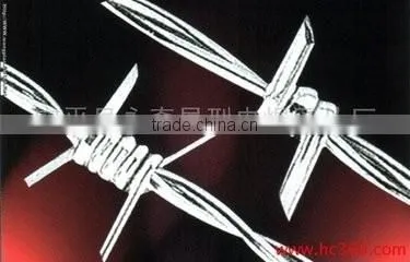 Anping Export 2 Strand Barbed Wire Hot Dipped Galvanized Barb Wire photo-5