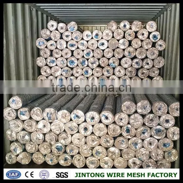 Anping Hexagonal Wire Mesh Roll Chicken Coop Iron Wire Fence Hexagonal Chicken Wire Mesh photo-5