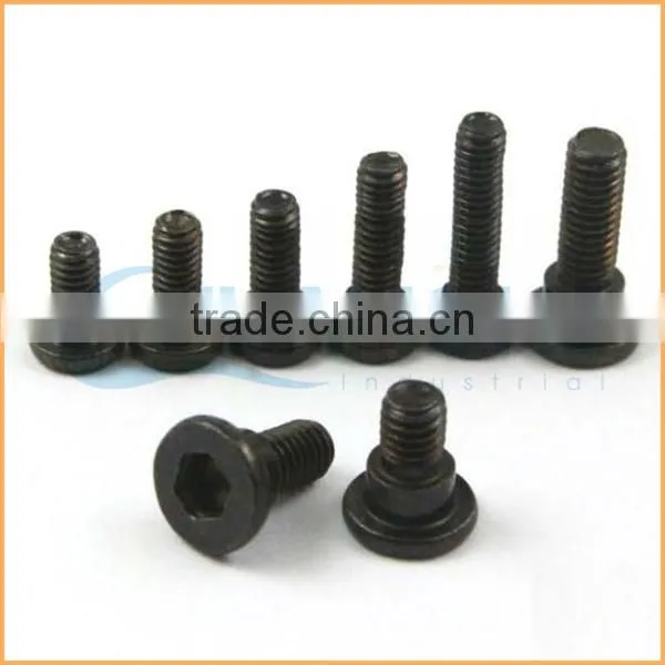 Hot Sales Competitive Price 5 x 12 Shoulder Screw photo-2