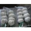 Small Package Fresh Pure White Garlic photo-3