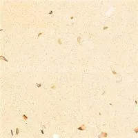 SS5885 Shell White