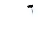 Brush Wand