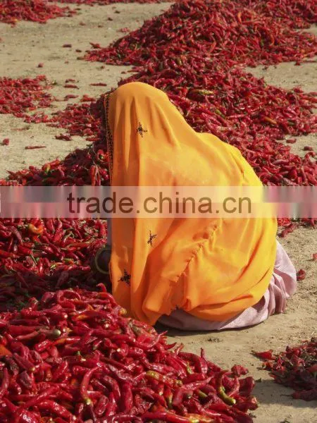 RED CHILLIES