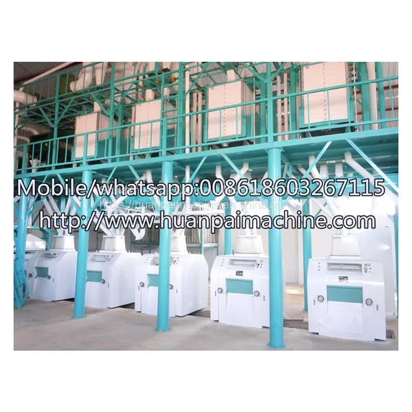 Wheat Milling Machine to Make Flour and Semolina/ Wheat Processing Machine photo-4